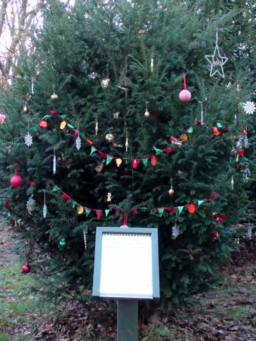 tarvin online christmas greetings from the woodland